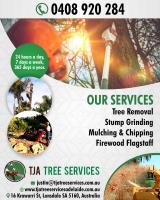 Tree Stump Grinding Adelaide | TJA Tree Services image 1